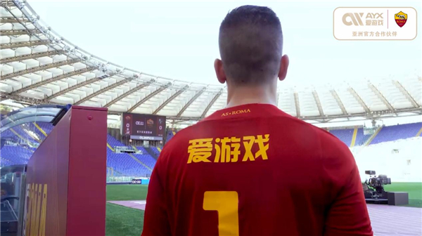 的忠诚和热